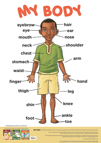 My Body: Free A2 printable poster